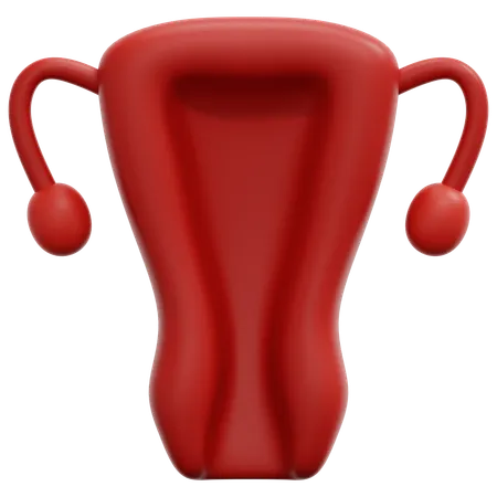 Uterus  3D Icon