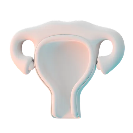 Uterus  3D Icon