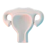 Uterus