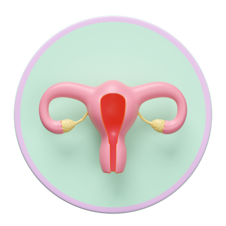 Uterus  3D Icon