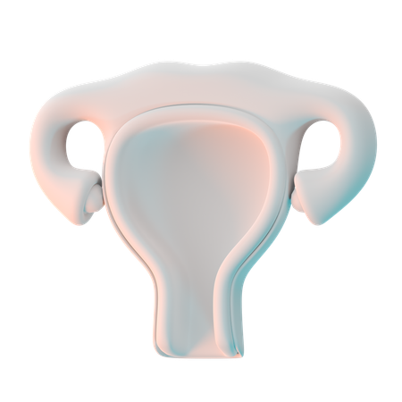 Utérus  3D Icon