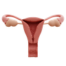 free 3d uterus 