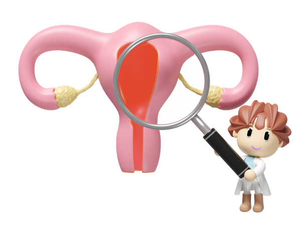 Uterus Checkup  3D Icon
