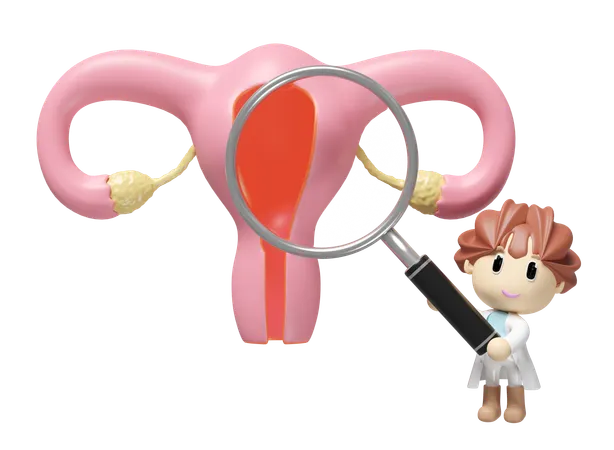 Uterus Checkup  3D Icon