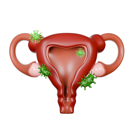 Uterus Diseases  3D Icon