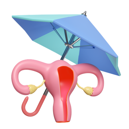 Uterus Insurance  3D Icon