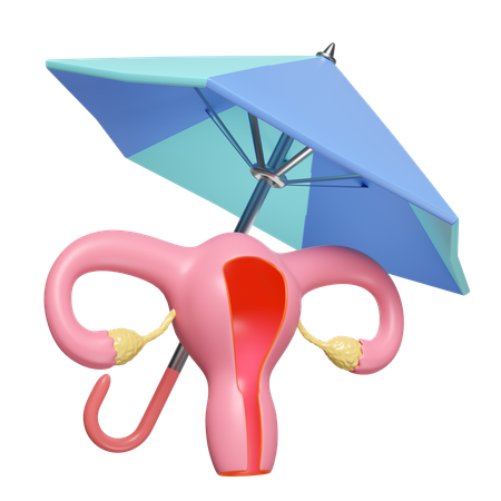Uterus Insurance  3D Icon