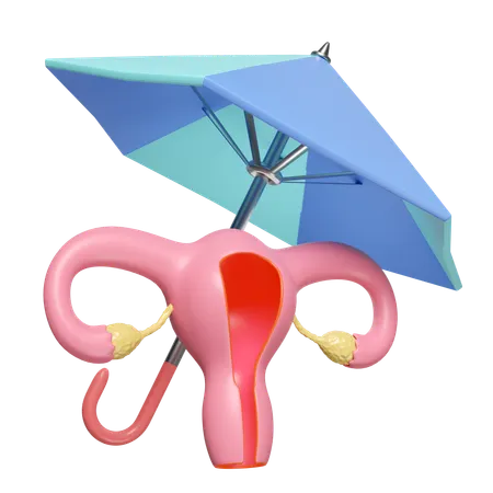 Uterus Insurance  3D Icon