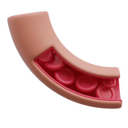 Vaisseau sanguin  3D Icon
