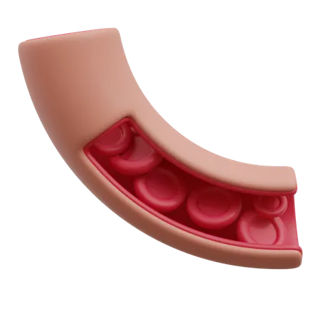 Vaisseau sanguin  3D Icon