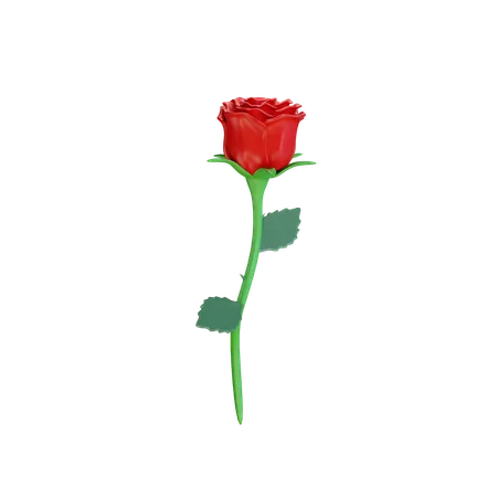3 D Render Valentine Rose 3D Icon