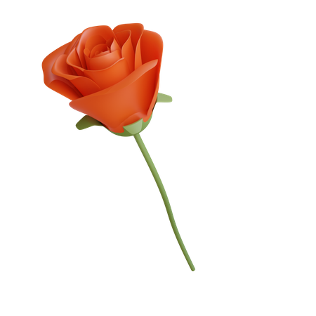 Valentine Rose 3D Illustration