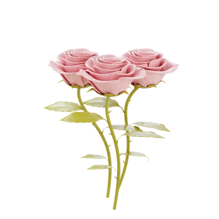 Valentines rose gift  3D Illustration