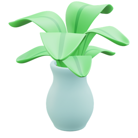 Vase  3D Icon