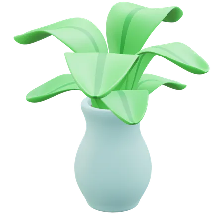 Vase  3D Icon