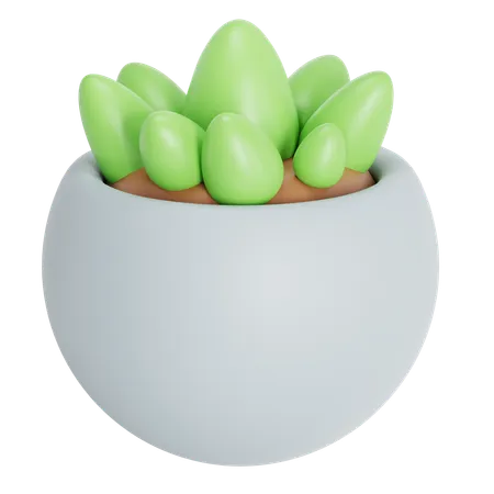 Vase  3D Icon