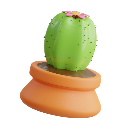 Vase à cactus  3D Icon