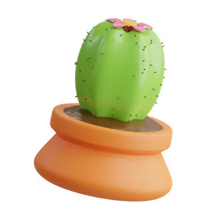 Vase à cactus  3D Icon