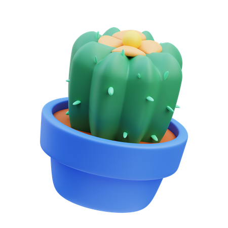 Vase à cactus  3D Icon