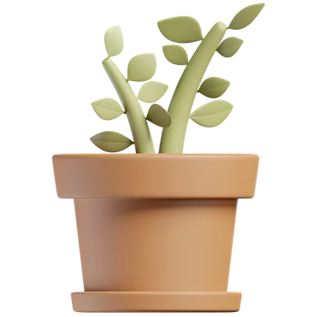 Vaso de planta  3D Icon