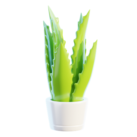 Vaso de planta  3D Icon