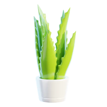 Vaso de planta  3D Icon