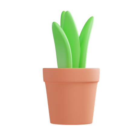 Vaso de planta  3D Illustration