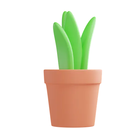 Vaso de planta  3D Illustration