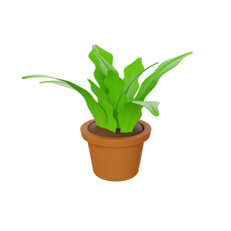 Vaso de planta  3D Illustration