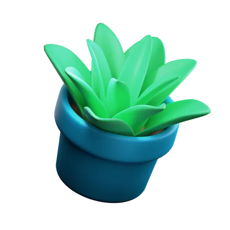 Vaso de planta  3D Illustration