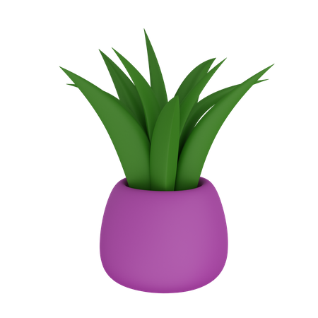Vaso de planta  3D Icon