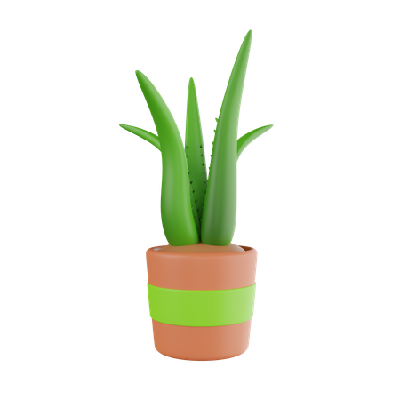 Vaso de planta  3D Icon