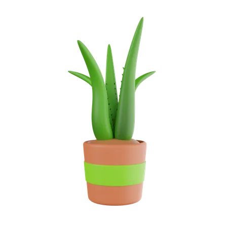 Vaso de planta  3D Icon