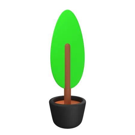 Vaso de planta  3D Icon