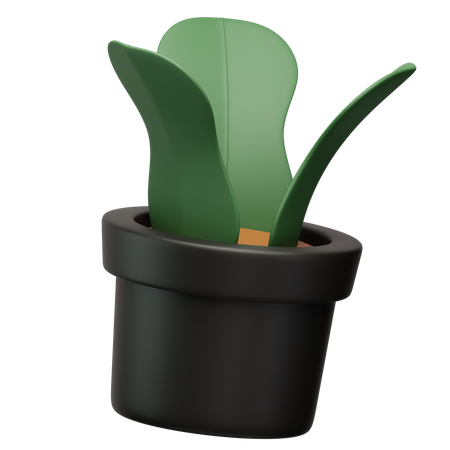 Vaso de planta  3D Icon