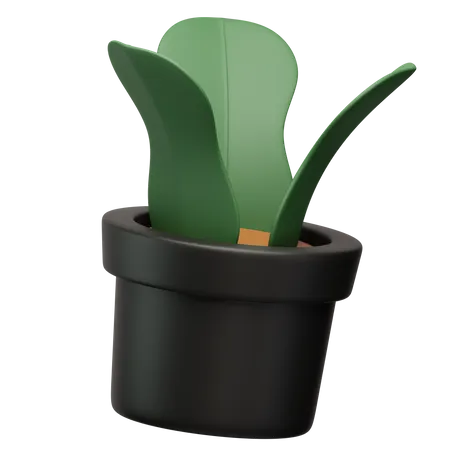 Vaso de planta  3D Icon