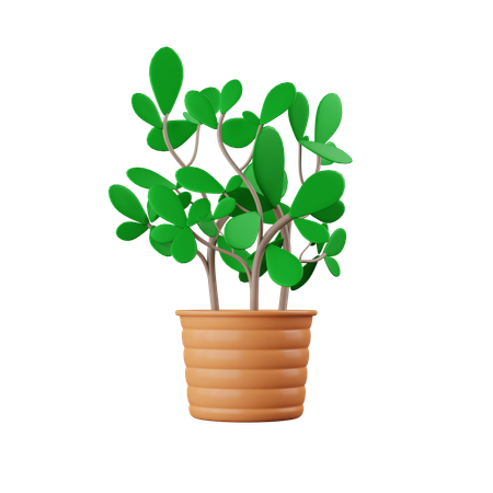 Vaso de planta  3D Icon