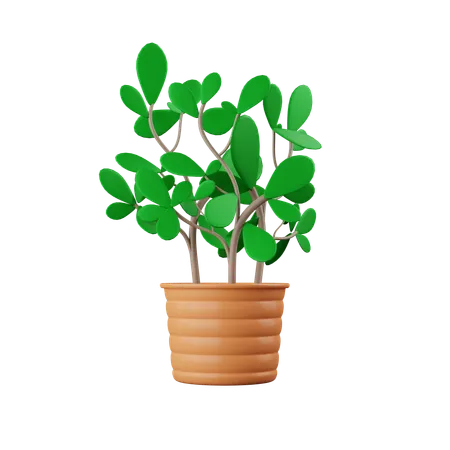 Vaso de planta  3D Icon