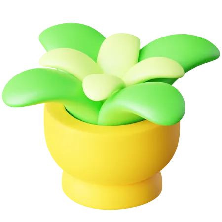 Vaso de planta  3D Icon