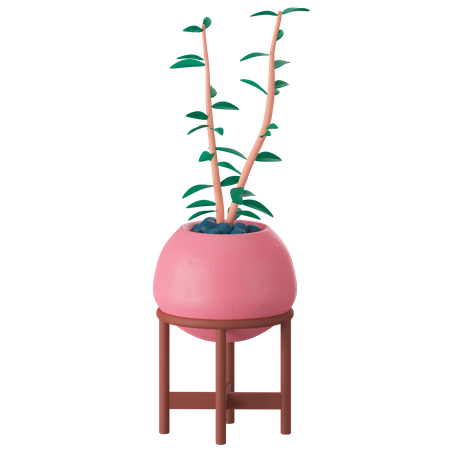 Vaso de planta  3D Icon