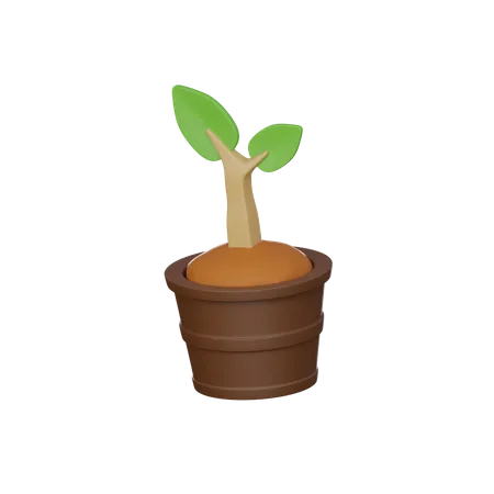 Vaso de planta  3D Icon