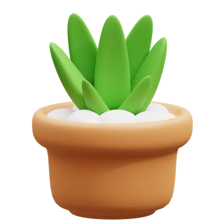 Vaso de cacto  3D Icon