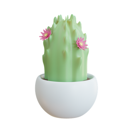 Vaso de flores de cacto  3D Icon