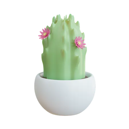 Vaso de flores de cacto  3D Icon