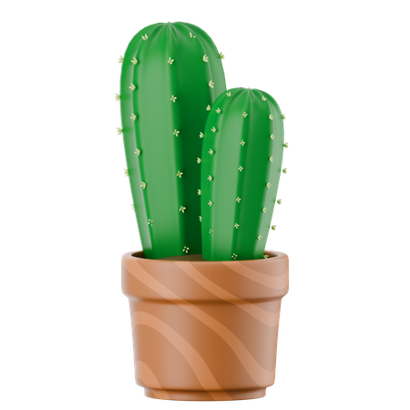 Vaso de cacto  3D Icon