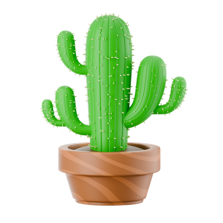 Vaso de cacto  3D Icon