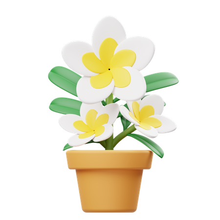 Vaso de flores de frangipani  3D Icon