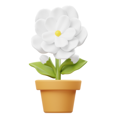 Vaso de flores de jasmim  3D Icon