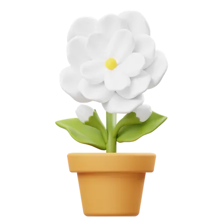 Vaso de flores de jasmim  3D Icon