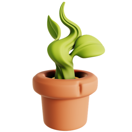 Vaso de planta  3D Icon